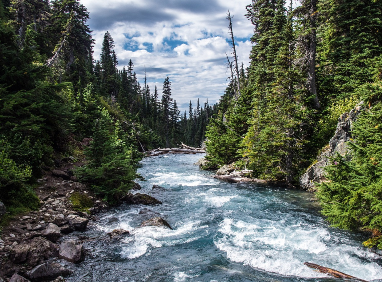사계절중에 여름이미지