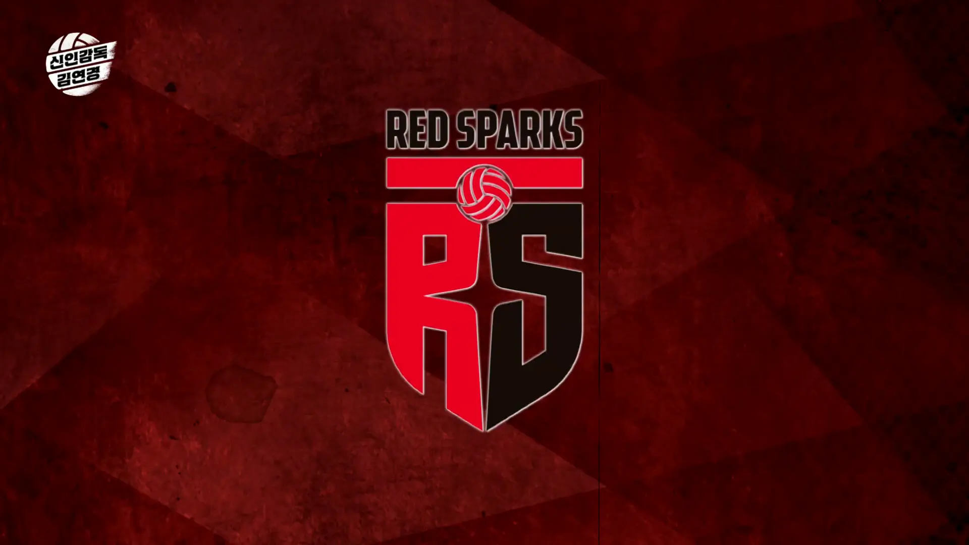 정관장 레드스파크스 여자배구 팀 소개 &amp; 주요 이력