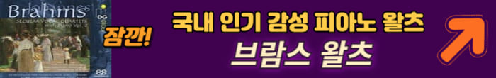 브람스 왈츠