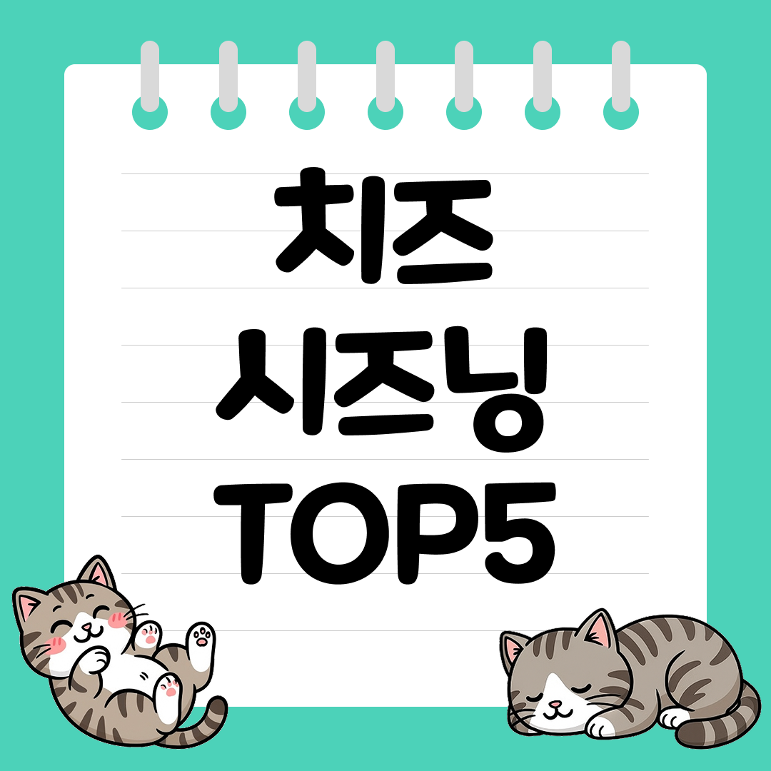 튀김맛을 살려주는 치즈 시즈닝 추천 순위 TOP5
