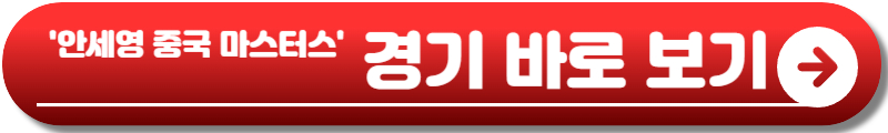 안세영 경기 일정
