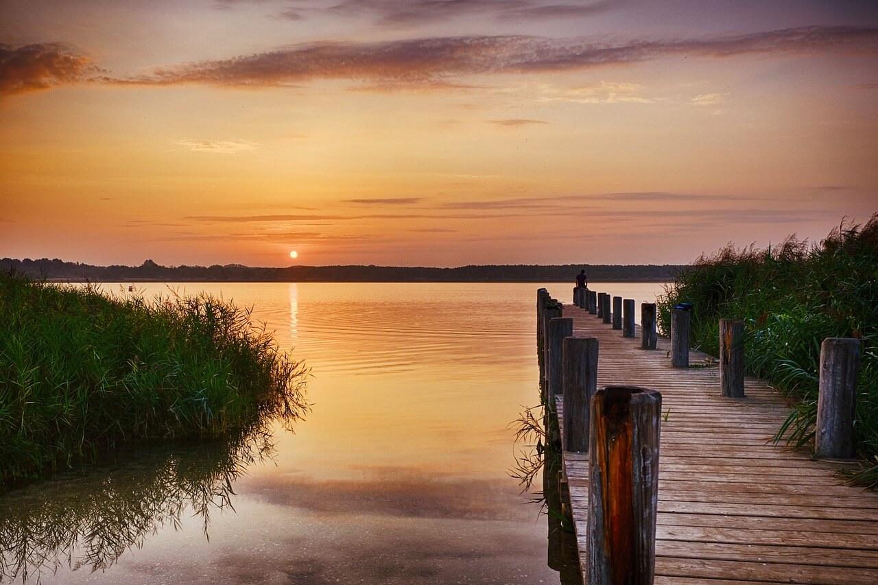 순천만 갈대축제