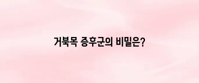 거북목 증후군 증상 및 치료 방법