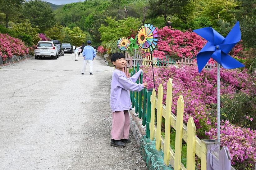 사이트가 넓은 용인 단풍숲 캠핑장에서 2박 3일 후기 사진 12