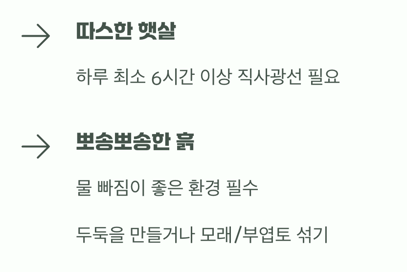 우아한 여신을 위한 최고의 자리