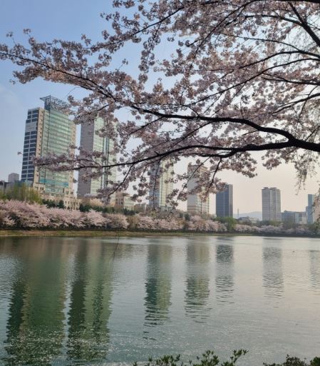 석촌호수 대형 랍스터 롯데월드 10주년 행사 공원 주차장