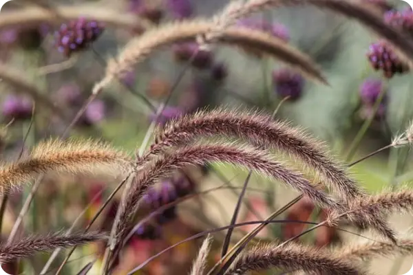 부산청년 기쁨두배통장
