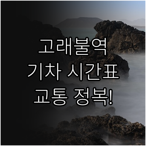 영덕 고래불역 기차 시간표와 해수욕장..