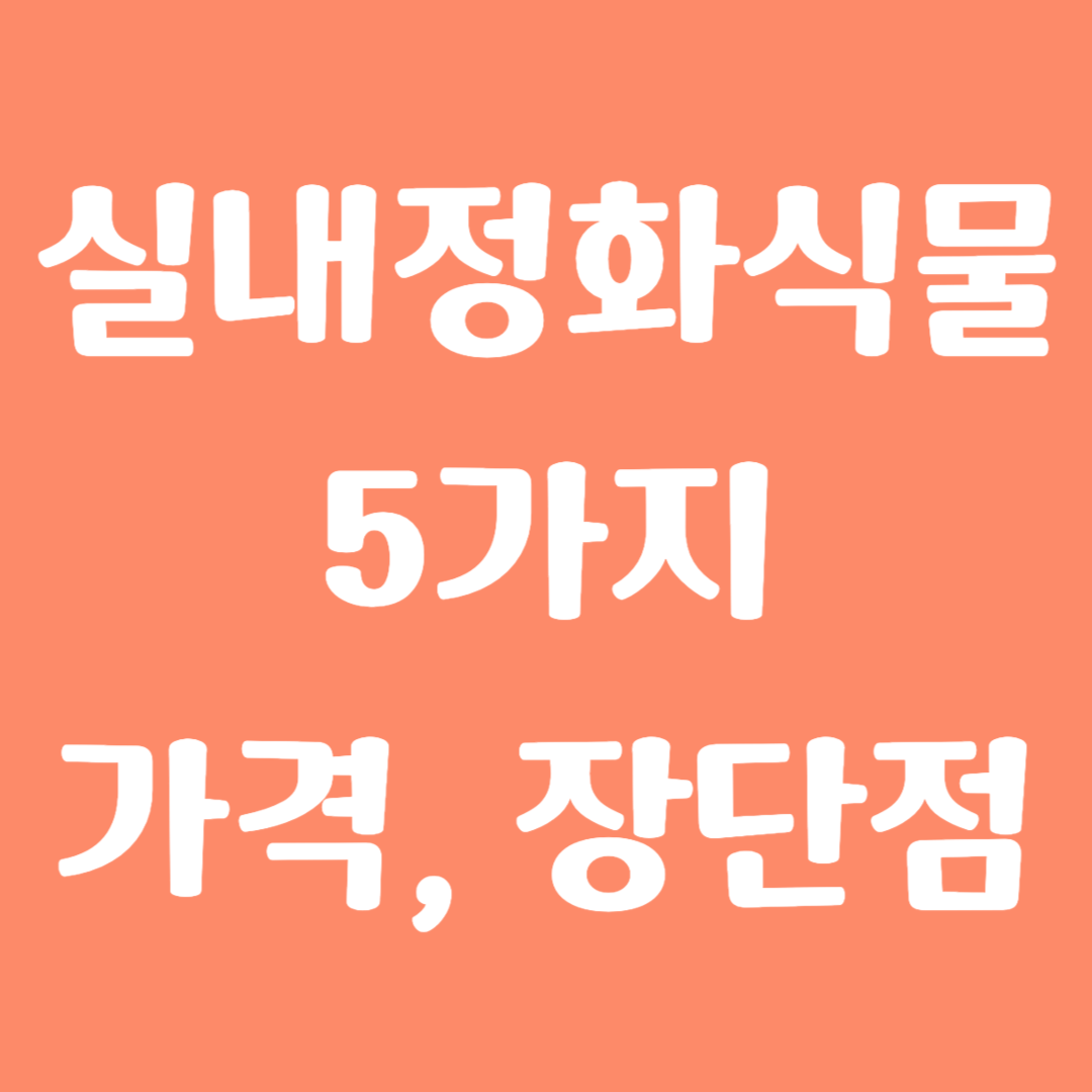 실내정화식물 5가지 가격 및 장단점 알아보기