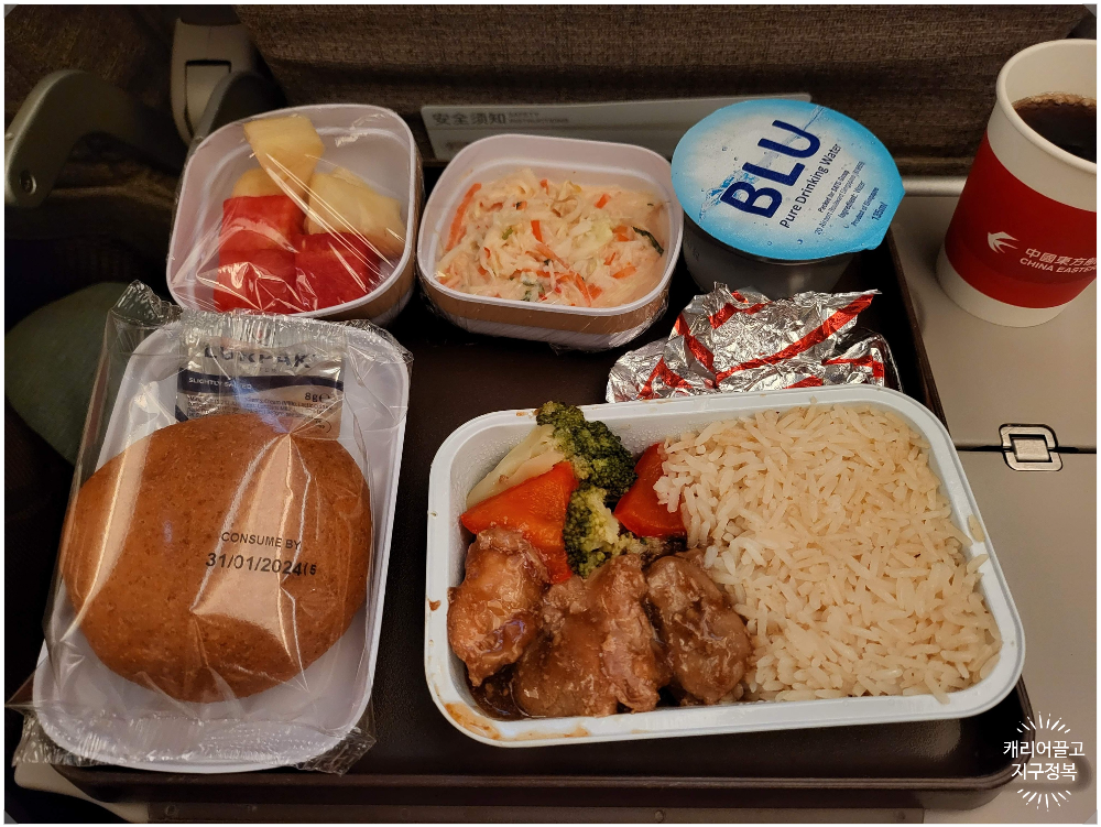 싱가폴에 가는 동방항공 A350