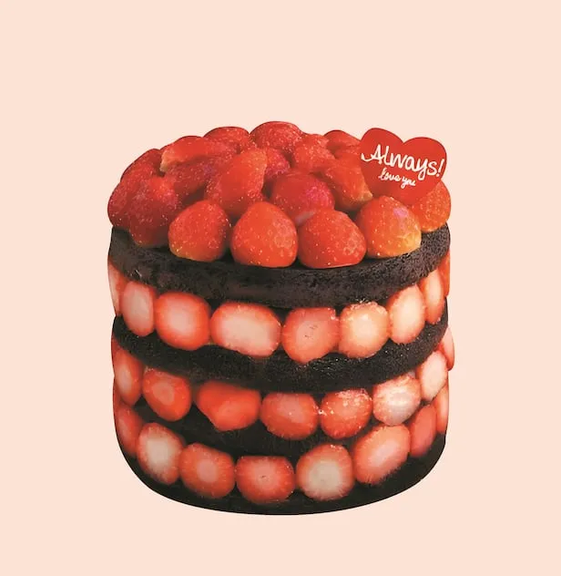 성심당 케이크 딸기시루 증정 추첨 후기_3