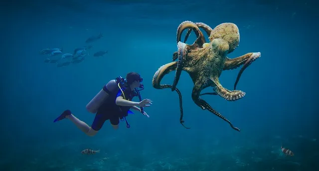 문어 삶는법 문어 요리 레시피_5