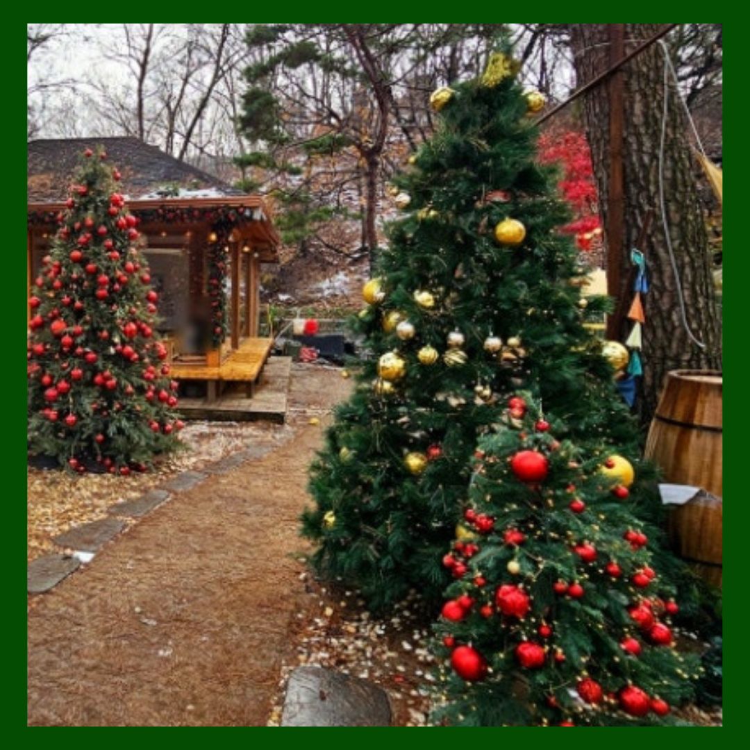 연말/겨울/나들이/경기도/핫플/베이커리/카페