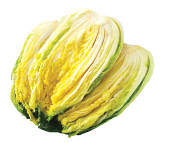 2025년 절임배추 사전예약 꿀팁!