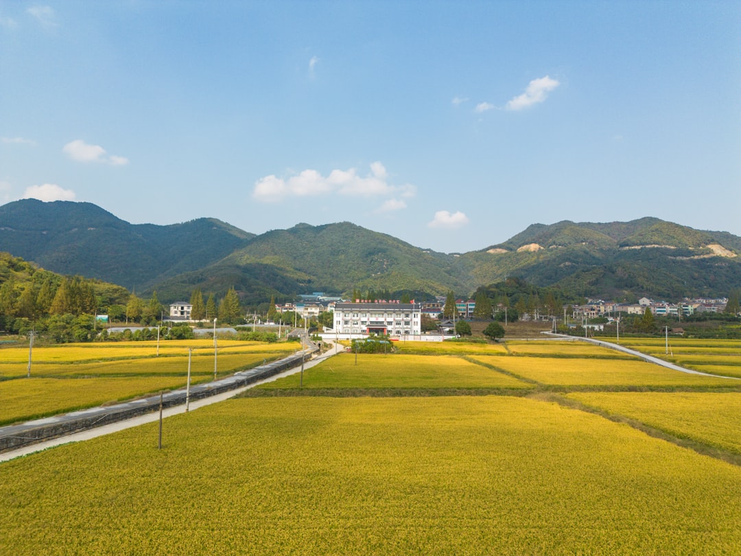 Cheongdam International High School