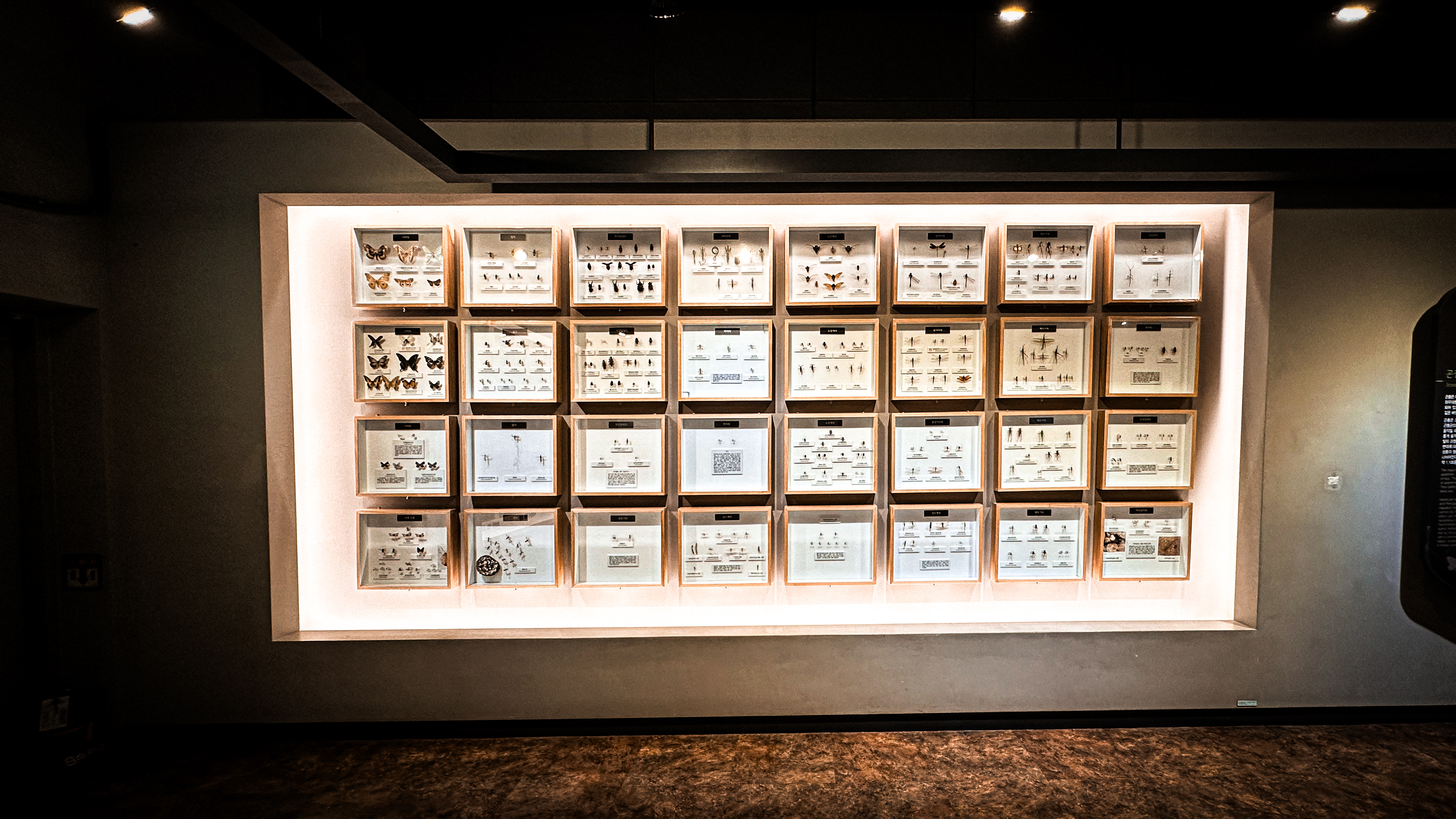 국립 중앙 과학관