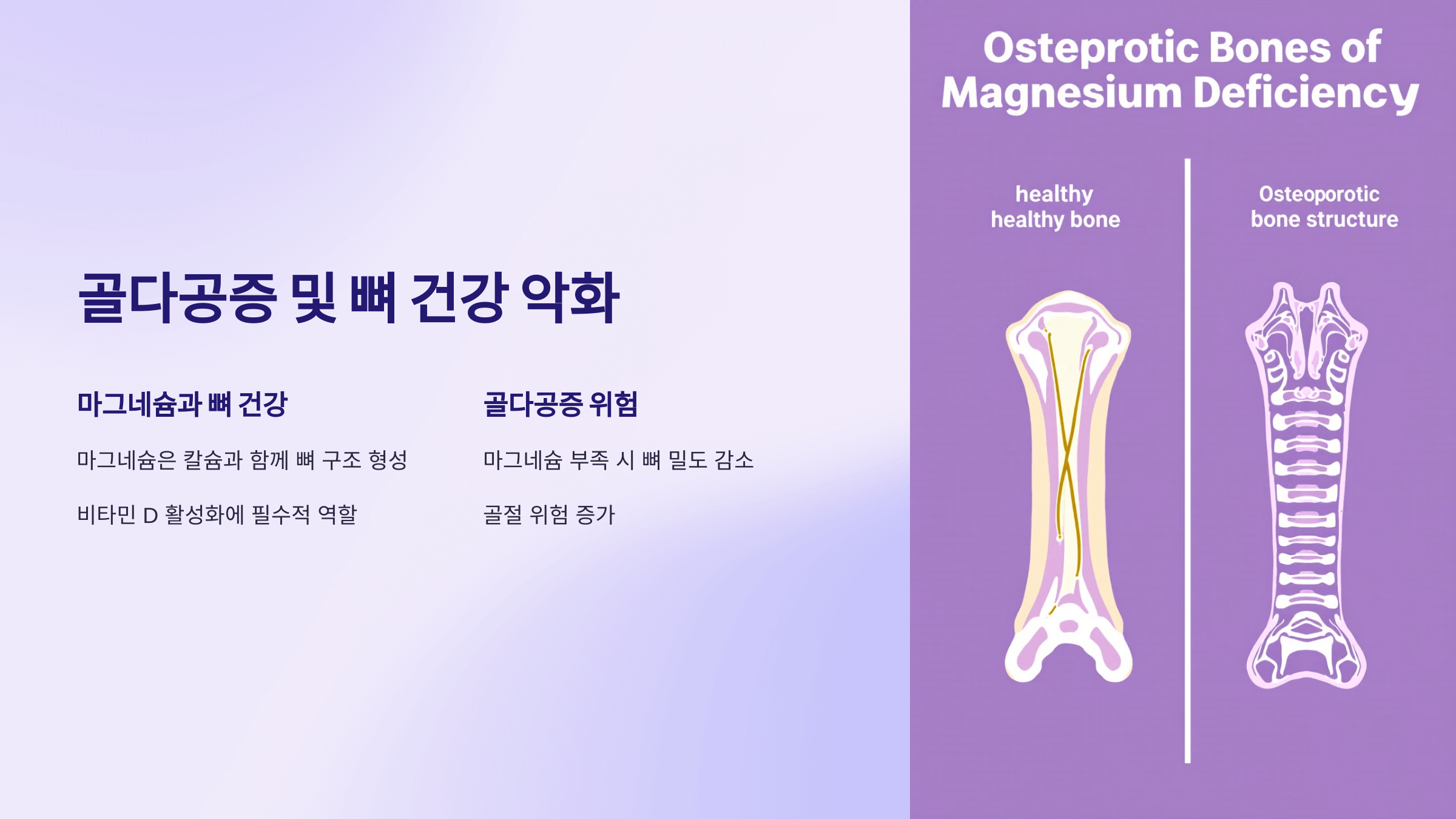 마그네슘과 관련된 사진입니다.