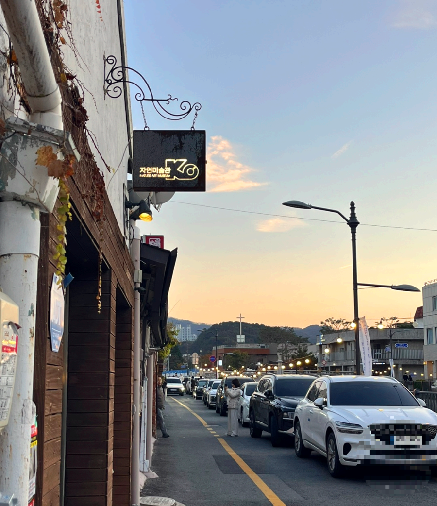 충남 공주 제민천 자연미술관