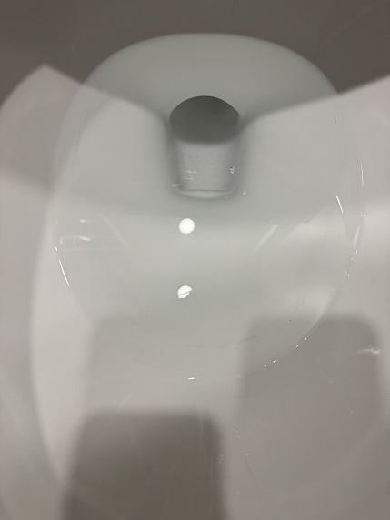 청소 후 변기 안 사진