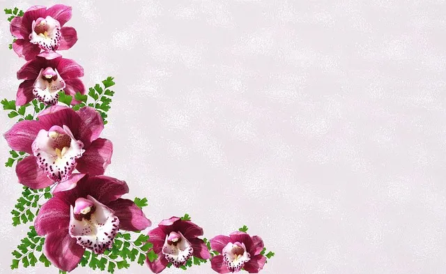 축하 인사말 예시 모음 이모티콘_2