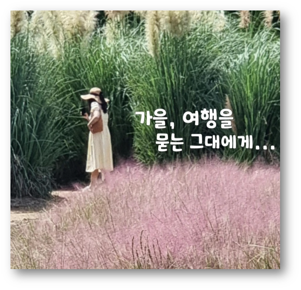 청산수목원5