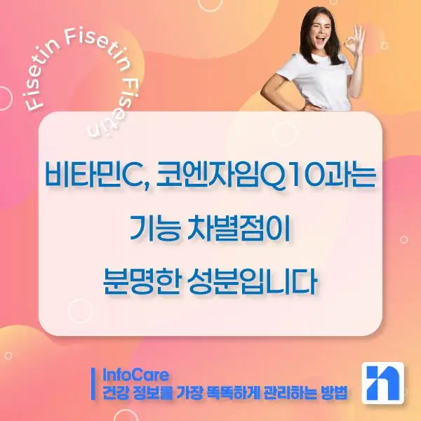 피세틴 효능 복용법