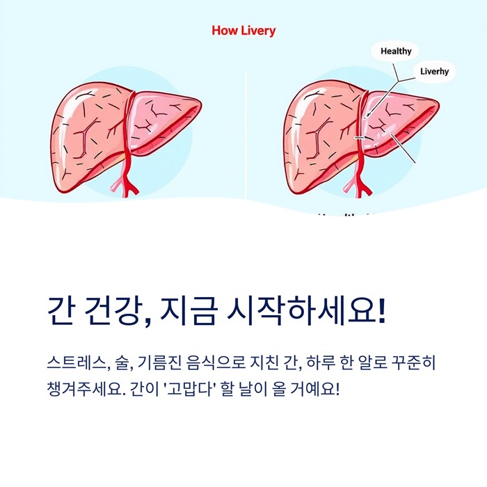 간 건강에 좋은 영양제 추천, 간 기능 개선 요약 이미지