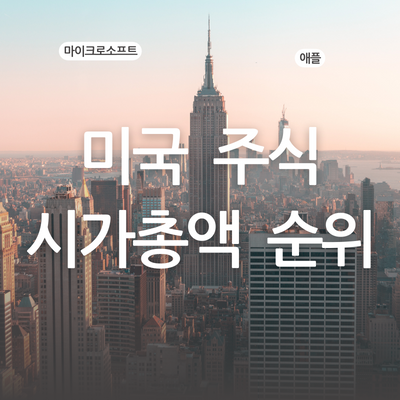 미국-주식-시가총액-순위