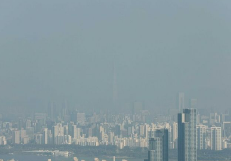 개과천선의 내맘정보공유 미세먼지/황사 (원인, 신체에 끼치는 영향, 방지대책 및 국가 정책 상황)