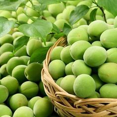 장염에 좋은 음식 먹어도 되는 음식 급성장염과 만성장염 차이