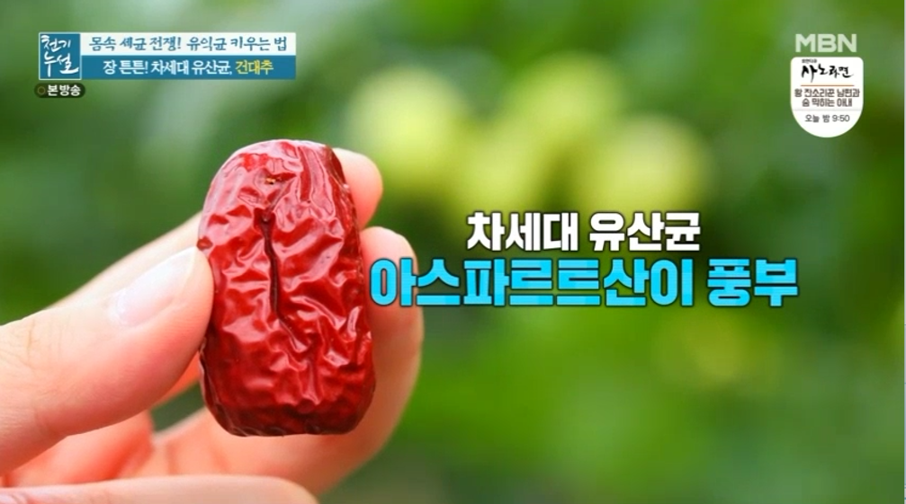 대추 사과대추 효능 대추차 생대추 건대추 고르는법 칼로리 보관법