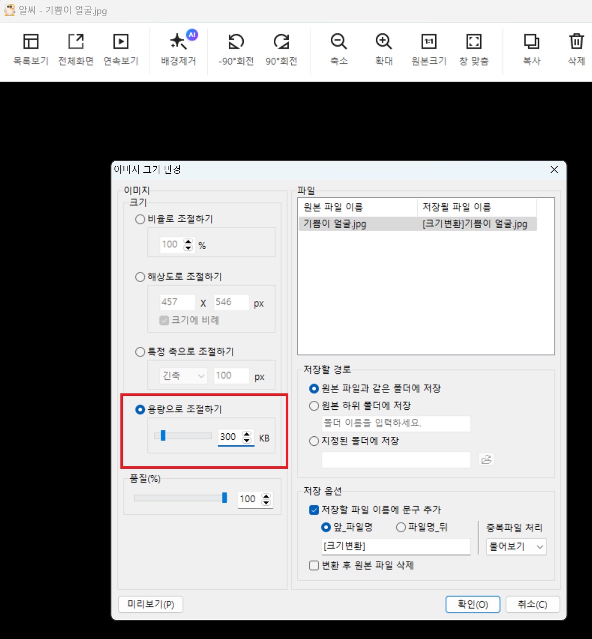 용량으로 조절하기 선택