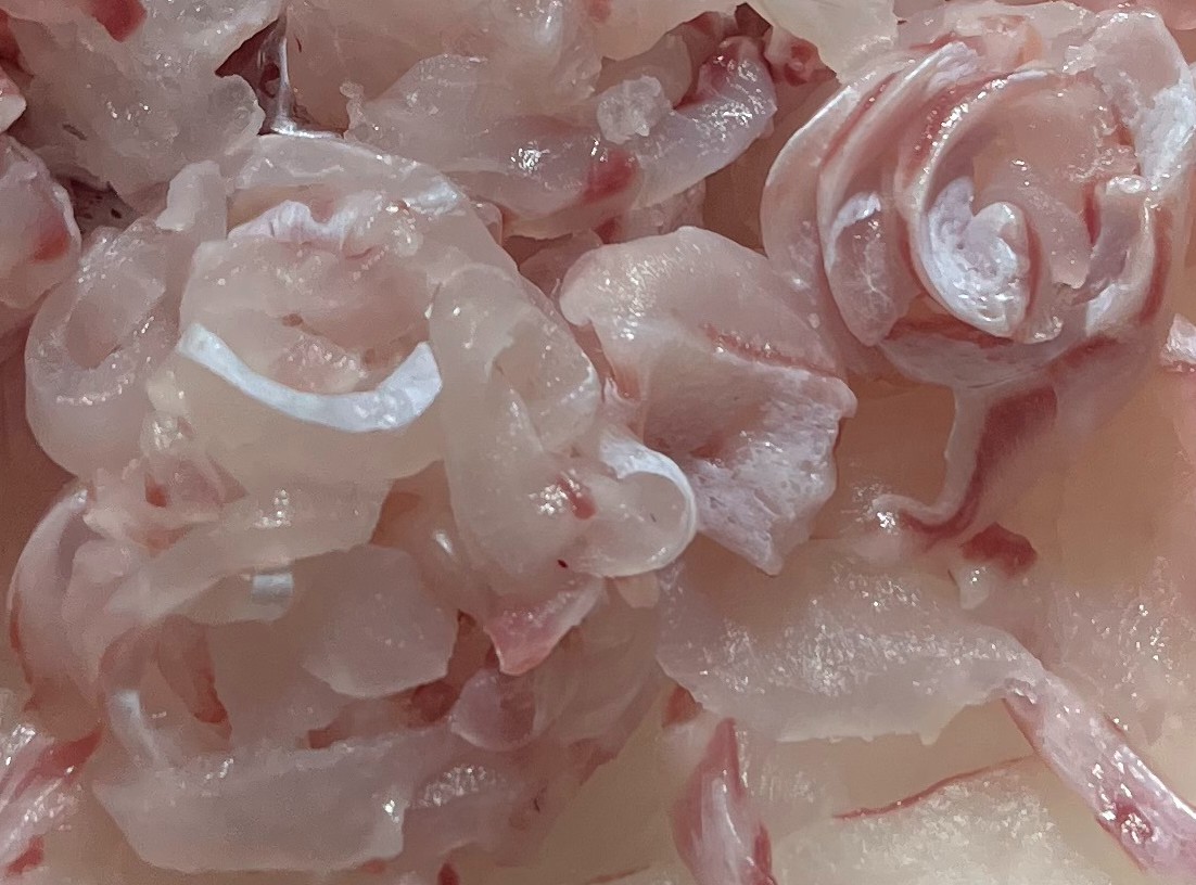 6시내고향 삼천포용궁수산시장 능성어 썸네일