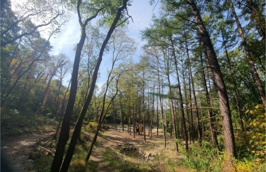 고대산자연휴양림 산책로