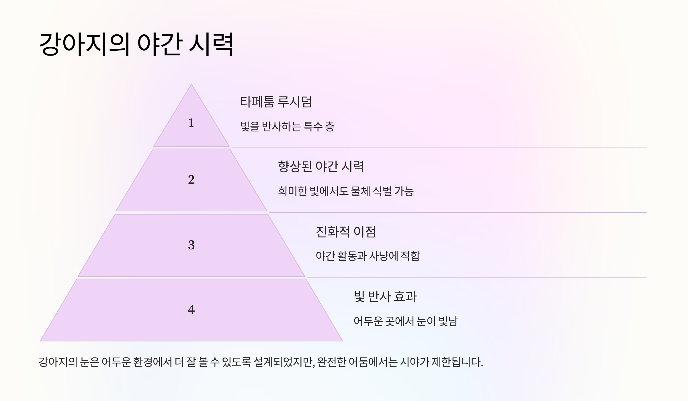 강아지의 야간 시력