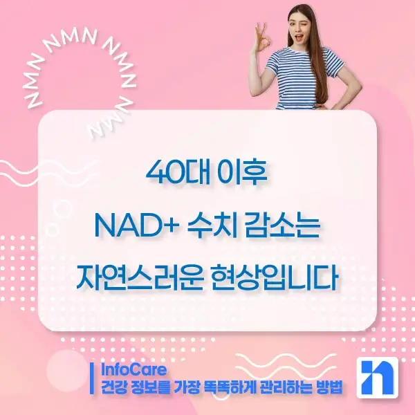 NMN 효능 복용법