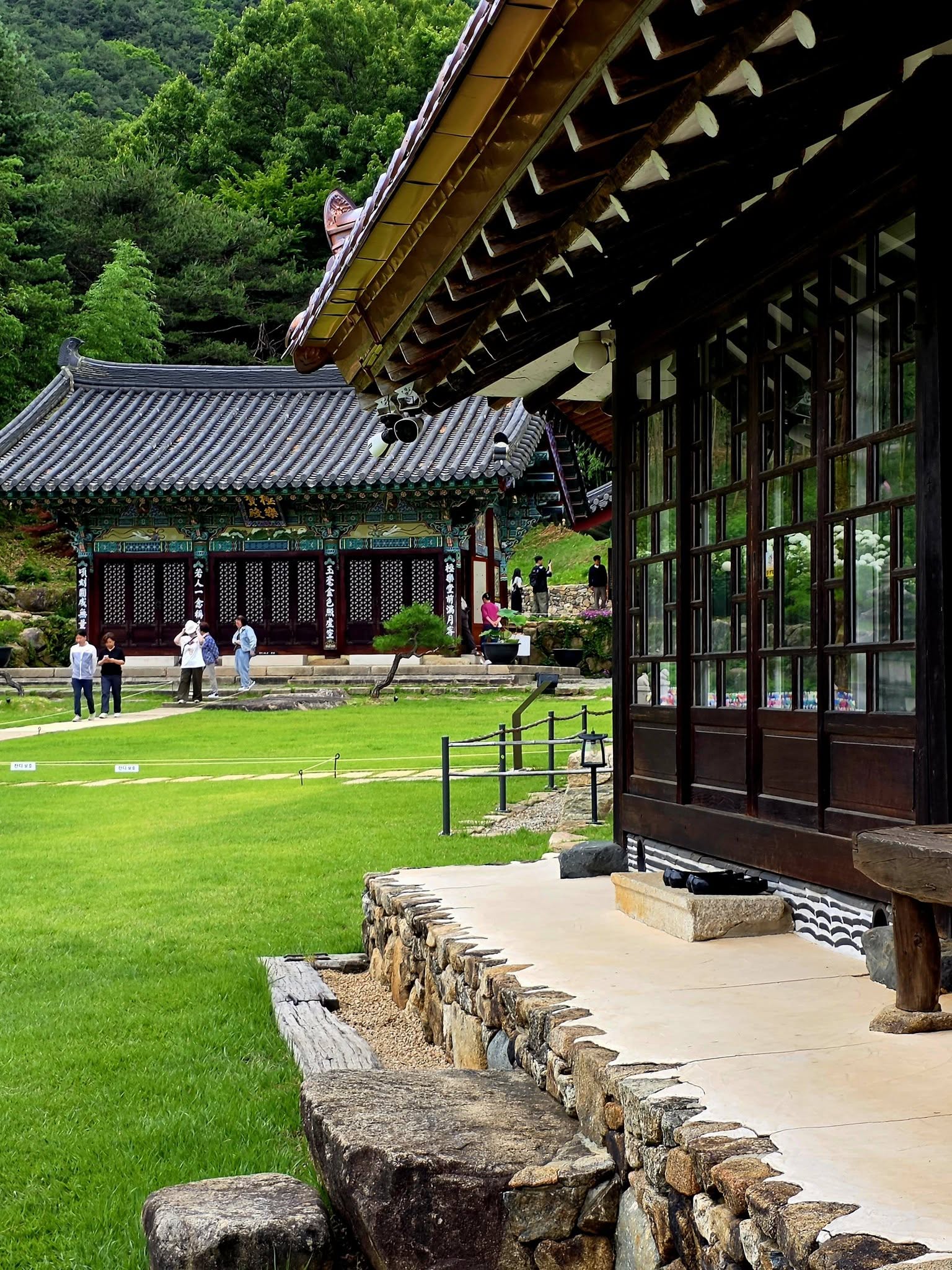 산청 수선사 연꽃 만개