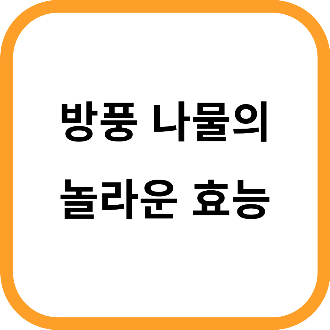 방풍 나물 효능