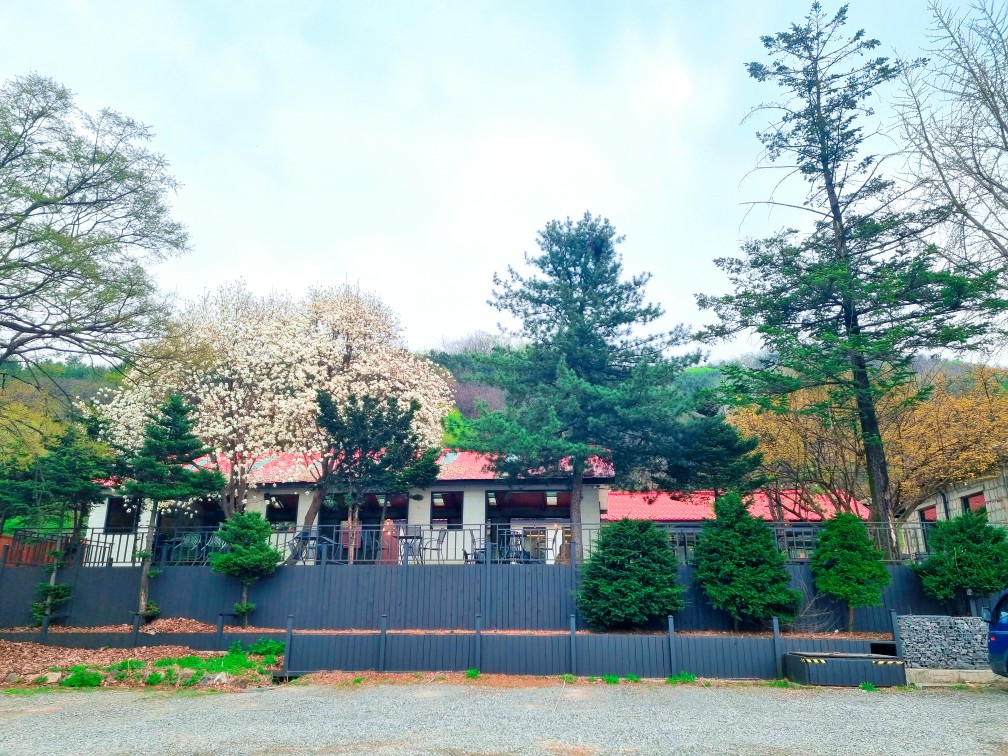 파주가볼만한 곳: 마롱리면사무소 카페, 율곡수목원 근처 정원 카페