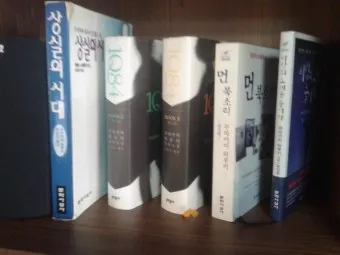 무라카미 하루키 소설의 특징과 문체 분석_4