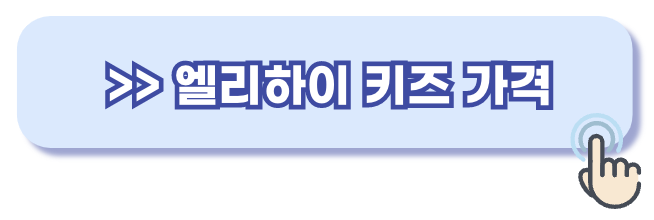 엘리하이 키즈 가격
