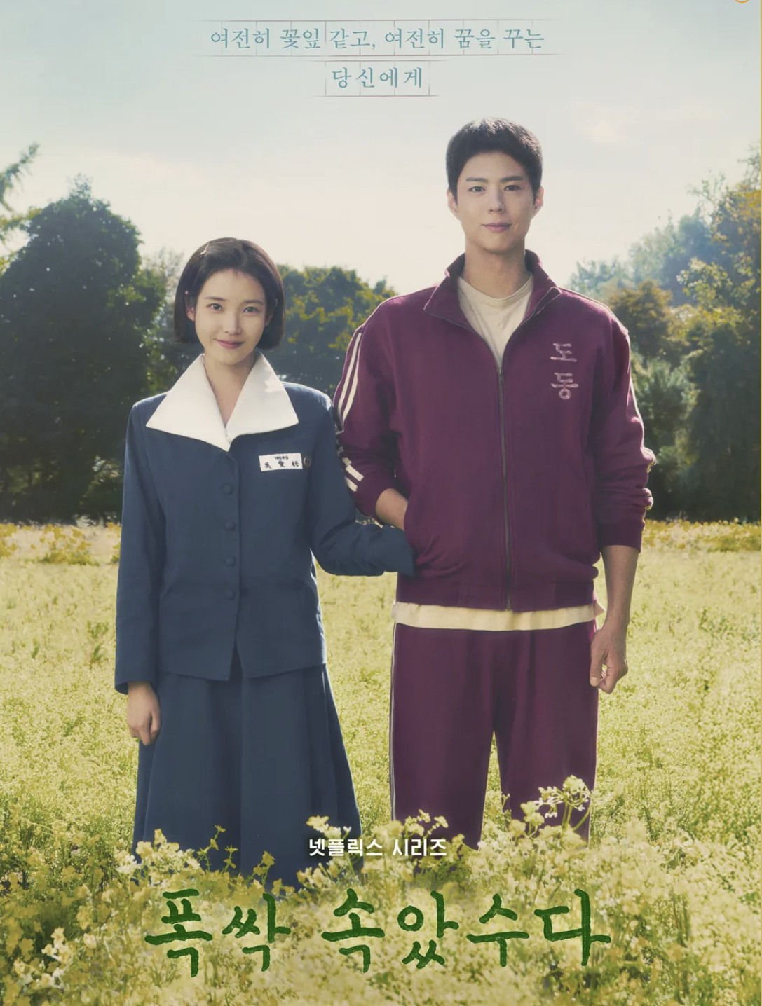 폭싹 속았수다, 폭싹 속았수다 다시보기, 폭싹 속았수다 뜻