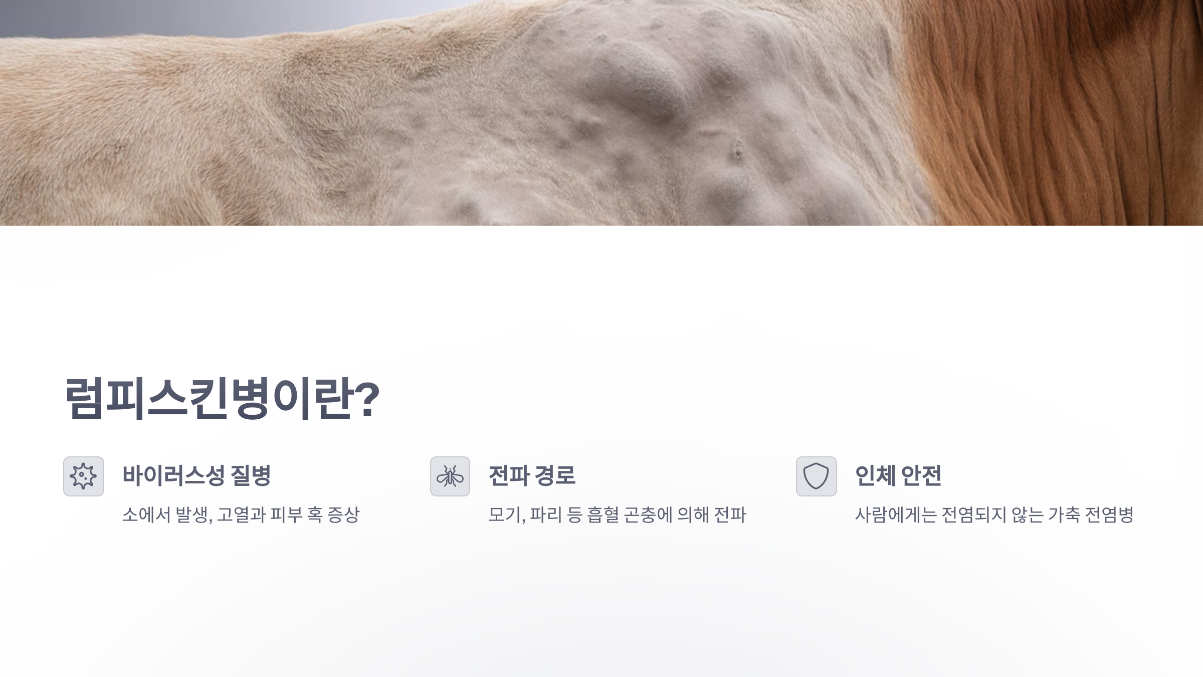 참조-럼피스킨병-확산-2