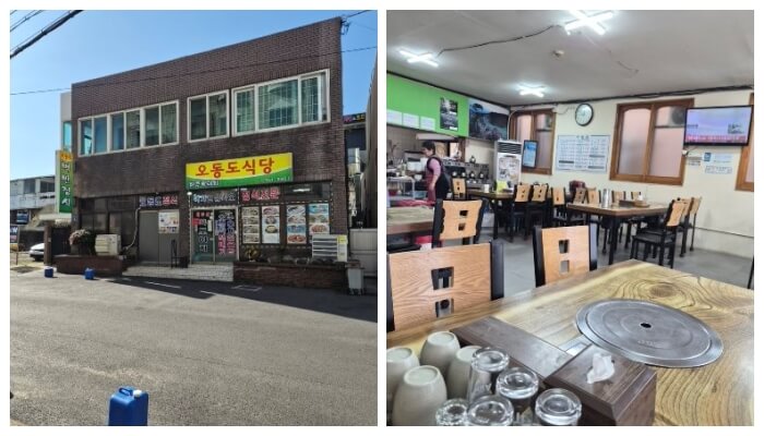 제주 혼자 여행