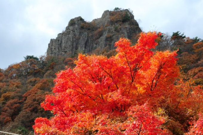 2025 내장산 단풍 절정시기 &amp; 난이도별 등산코스 TOP 5 완벽 정리