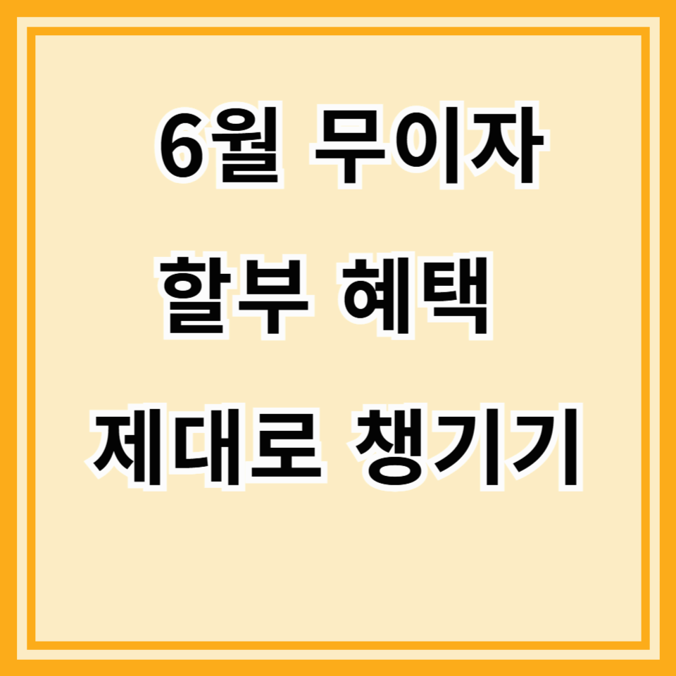 6월 신용카드 무이자 할부 혜택 총정리 (2025년 최신 업데이트)