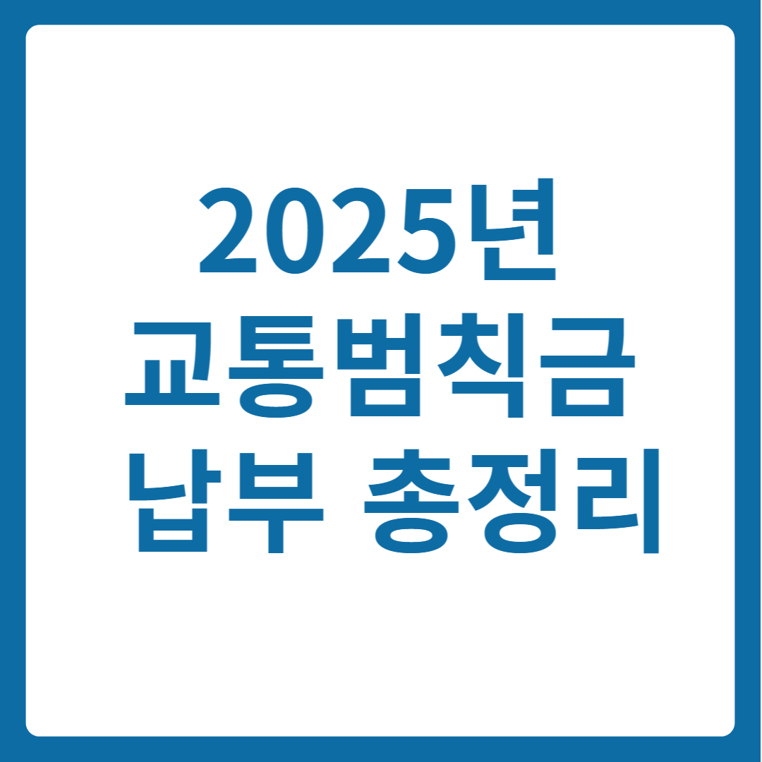 2025년 교통범칙금 납부 총정리
