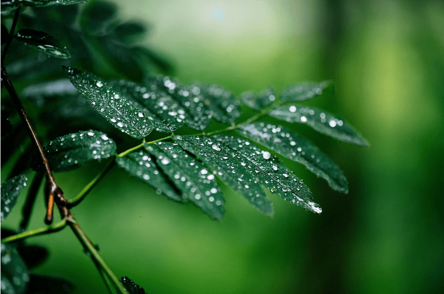 국민연금 예상 수령액 계산방법 및 수령액 늘리는법관련사진