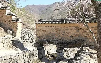 소쇄원 봄 앵두나무꽃 산수유 해당화 개화_16