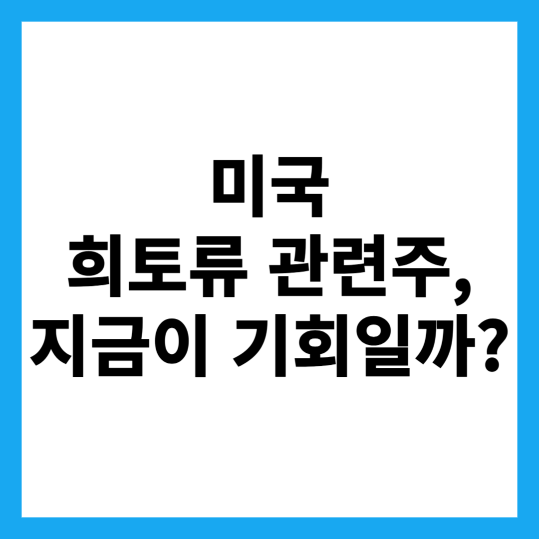 미국 희토류 관련주, 지금이 기회일까?
